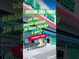 Where in the world of NEW JERSEY DOLLAR TREES are these touchland dupes hidden. You tell me ?