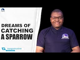 Dream Of Catching A Sparrow II Meaning from Evangelist Joshua