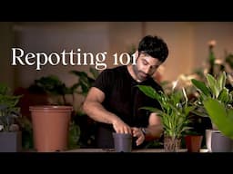 Repotting 101