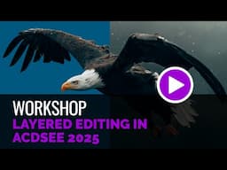 Layered Editing in ACDSee 2025