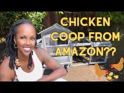 My Amazon Chicken Coop | Breaking Up With The System