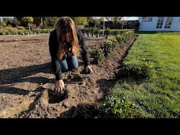 Planting a BIG Garden! 🌺🌿 // Garden Answer