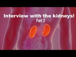 Interview with the kidneys! (Part 2)