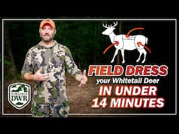 How to Field Dress Your Virginia Whitetail Deer