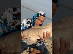 Islang fishing #hamour #lapulapu #sherifish #fishing #stressreliver #shortvideo