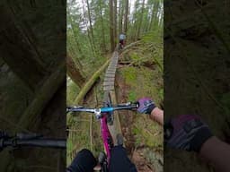 Riding on Endor #freeride