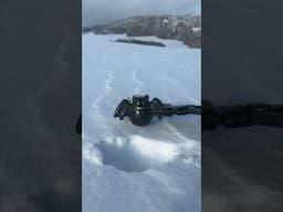 BATBALLS ☃️ #satisfying #snow #nature #beautiful #winter #christmas #cute #diy #oddlysatisfying