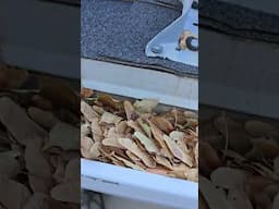 Have you checked your gutters lately? #fall #leaves #cleaning #homemaintenance