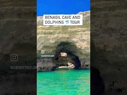 Benagil cave and dolphins tour #benagil #benagilcave #benagilcaves #praiadebenagil #benagil #dolphin