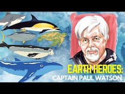 Free Paul Watson