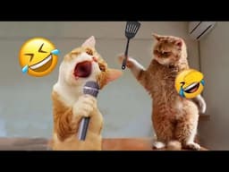 You Laugh You Lose😻👋Funniest Dogs and Cats 2024🤔