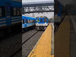 NIEBLA EN ZONA SUR (LINEA ROCA) ESTACION LOMAS DE ZAMORA...22/5/2024  #linearoca #railway #train