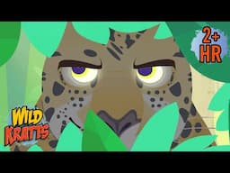 Rare Encounters with Jaguars | Full Episodes | Wild Kratts