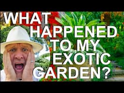 What Happened to My Exotic Garden