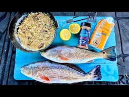 Catch n’ Cook Redfish in a Butter Lemon Wine sauce! (Fancy Feast on my Boat)