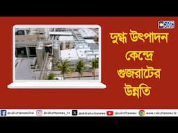 দুগ্ধ উৎপাদন কেন্দ্রে গুজরাটের উন্নতি  । ক্যালকাটা টেলিভিশন ডিজিটাল