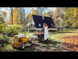 Autumn Cabin Life: Splitting Firewood, Foraging, Canning