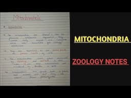 MITOCHONDRIA||CELL BIOLOGY ZOOLOGY NOTES #bsc1styearzoology @zoologynotes #vbu #skmu