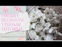 Cherry blossom vinegar tutorial