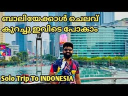 സിംഗപ്പൂർ വഴി ഇൻഡോനേഷ്യയിലേക്ക് | New Solo International Travel Series Begins | No Package & Guide.