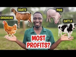 Chickens vs Pigs vs Goats vs Cattle | Which Is More PROFITABLE?