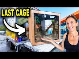 Last Giant Reptile Cages Arrive!