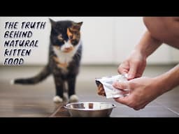 THE TRUTH BEHIND NATURAL KITTEN FOOD