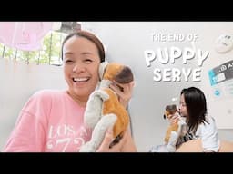 The Finale! The end of Puppy serye!  | Mommy Haidee Vlogs