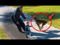 Near-Death Experiences SAVED By Animals! Shocking Footage!