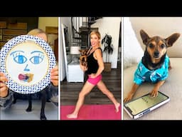 Funniest Dog Tik Tok Compilation (ft. @rebeccazamolo)