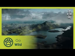 Greenland's Glaciers | Eye in the Sky 5/5 | Go Wild