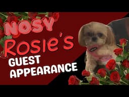 Nosy Rosie's Guest Appearance on Reese on the Streets 🌹