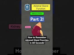 🔥 How to Remember Adrenal Gland Function in 60 Seconds! [Hormones Explained] #nursing