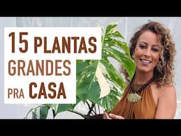 15 PLANTAS GRANDES pra ter em CASA: sugestões para DECORAR a SALA