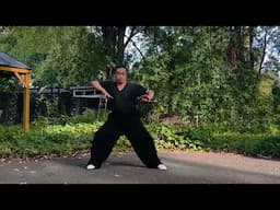 My Casual Practice (18) Some Xing Yi-Ba Gua Palm Movements