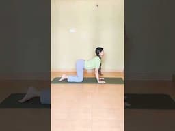 Start your yoga journey from here