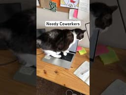 Your Pets OR Needy Coworkers? | Small Biz Humor