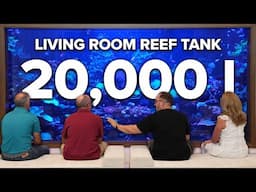 This is a 20,000 liter PRIVATE REEF TANK in Miami *with JEFF TURNER*