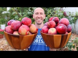 How to Grow Apple Trees, Complete Growing Guide