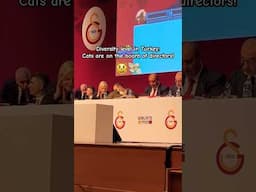 In Turkey, cats are on the board of directors of sports clubs 😼 #galatasaray #cat #funny #diversity