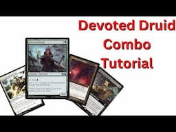 Devoted Druid Combo Tutorial