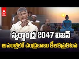 CM Chandrababu Swarnandhra 2047 Vision | ఏపీ అసెంబ్లీలో సీఎం చంద్రబాబు కీలకప్రకటన | ABP Desam