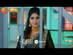 Seethe Ramudi Katnam Promo - 22 Nov 2024 - Monday to Saturday at 12:30 PM - Zee Telugu