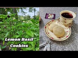 Tea Time!  Lemon Basil Cookies (Last Video!)