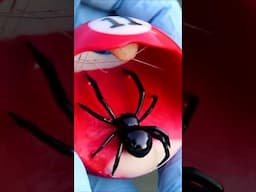 Carving a Black Widow into a Billiard Ball