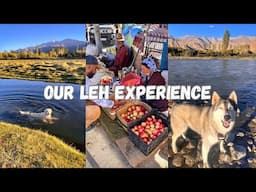 Shopping | Indus River trek | ChicAsh chale Ladakh ( EP : 13 )