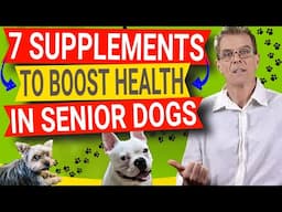 How To Care For Senior Dog (7 KEY Nutrition Supplements Boost Health Fast)