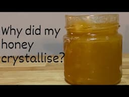 Crystallised honey- Why it happens and what to do with it!