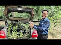 Get Free Trees from Government | Application process included | @LAWKAGYAN BBALLBGYAN #free #trees