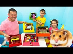 The hamster's escape from the cardboard maze with Sofia